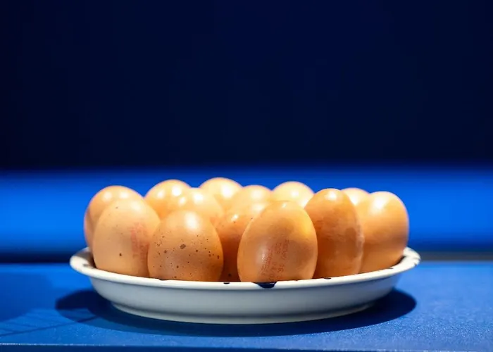 Graphik Montparnasse